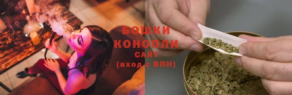 прущие грибы Усинск
