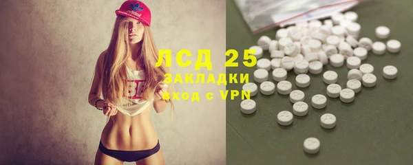 прущие грибы Усинск